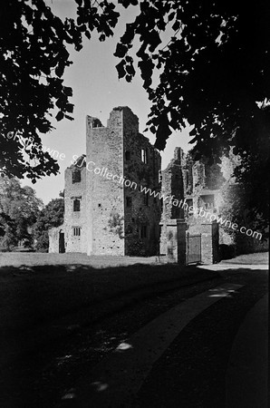 MALLOW CASTLE THE OLD CASTLE FROM AVENUE